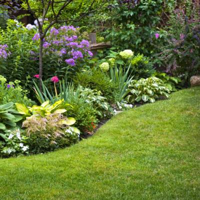 GARDEN BED MAINTENANCE