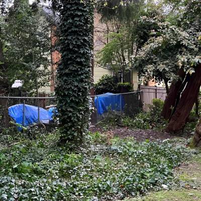 SPRING CLEANUP
